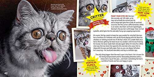National Geographic Kids Just Joking Funny Animals 2
