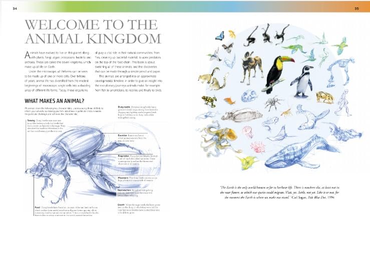 The Field Guide to Drawing and Sketching Animals