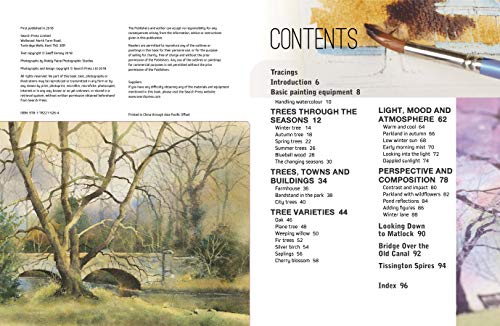 Ready to Paint in 30 Minutes: Trees & Woodlands in Watercolour