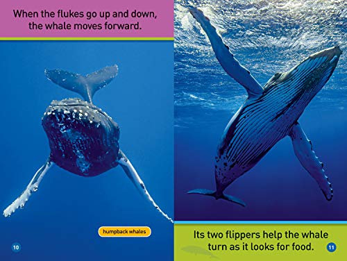 Whales (National Geographic Kids Readers, Pre-Reader)