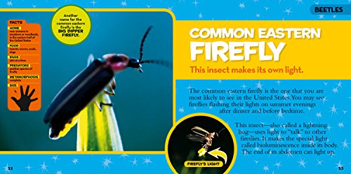National Geographic Little Kids First Big Book of Bugs (National Geographic Little Kids First Big Books)