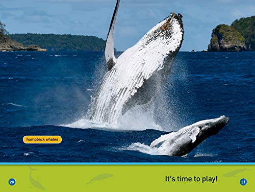 Whales (National Geographic Kids Readers, Pre-Reader)
