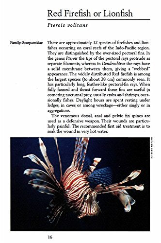 Handy Pocket Guide to Tropical Coral Reef Fishes (Handy Pocket Guides)