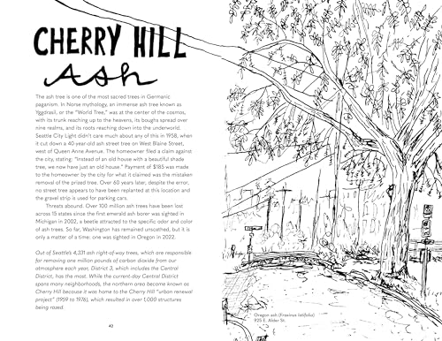 Street Trees of Seattle: An Illustrated Walking Guide