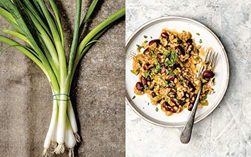 Vegetable Kingdom: The Abundant World of Vegan Recipes