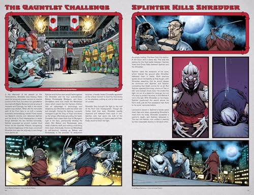 Teenage Mutant Ninja Turtles: IDW Sourcebook