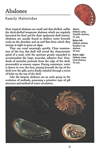 Handy Pocket Guide to Tropical Seashells (Handy Pocket Guides)
