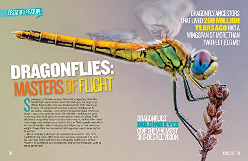 National Geographic Kids Extreme Records (NGK Records)