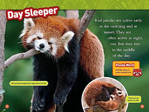 Animal All-Stars Collection (National Geographic Kids Readers, Level 1)