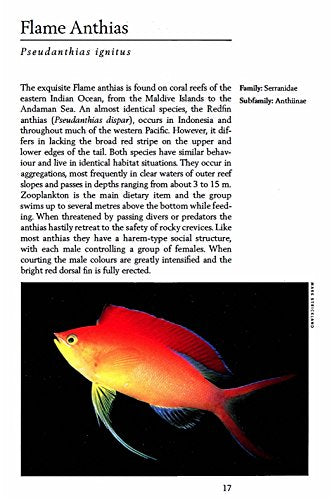 Handy Pocket Guide to Tropical Coral Reef Fishes (Handy Pocket Guides)