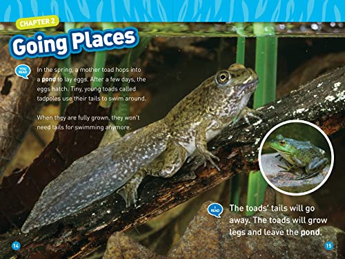 Animal Tails (National Geographic Kids Readers, Level 1/Co-Reader)