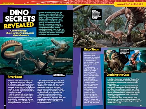 National Geographic Kids Almanac 2025 (NGK Almanac)
