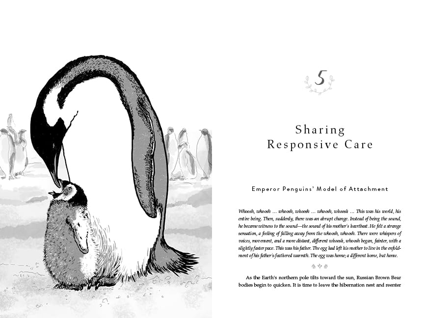 The Evolved Nest: Nature's Way of Raising Children and Creating Connected Communities