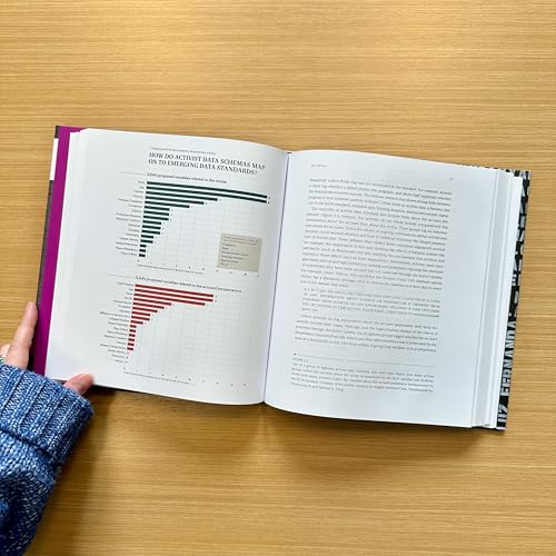 Counting Feminicide: Data Feminism in Action