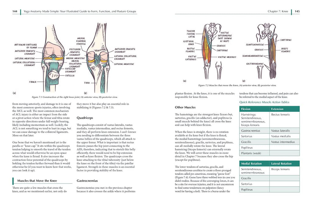 Yoga Anatomy Made Simple: Your Illustrated Guide to Form, Function, and Posture Groups