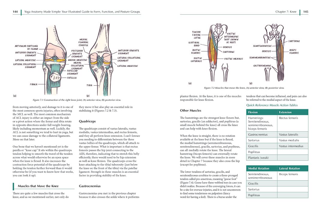 Yoga Anatomy Made Simple: Your Illustrated Guide to Form, Function, and Posture Groups