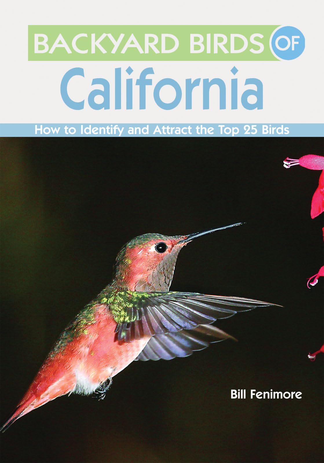 Backyard Birds of California