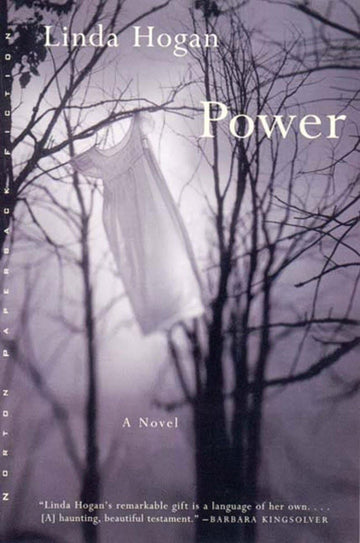 Power: A Novel (Norton Paperback Fiction)