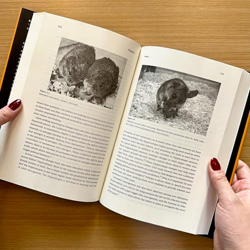 Father Nature: The Science of Paternal Potential