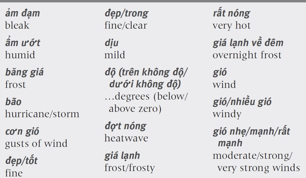Essential Vietnamese: Speak Vietnamese with Confidence! (Vietnamese Phrasebook & Dictionary) (Essential Phrasebook & Disctionary Serie)