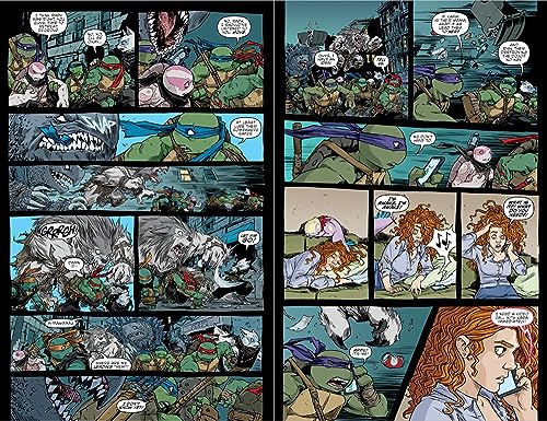 Teenage Mutant Ninja Turtles: The IDW Collection Volume 15 (TMNT IDW Collection)