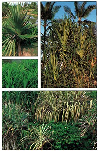 Handy Pocket Guide to Tropical Plants (Handy Pocket Guides)