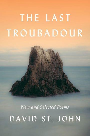 LAST TROUBADOUR