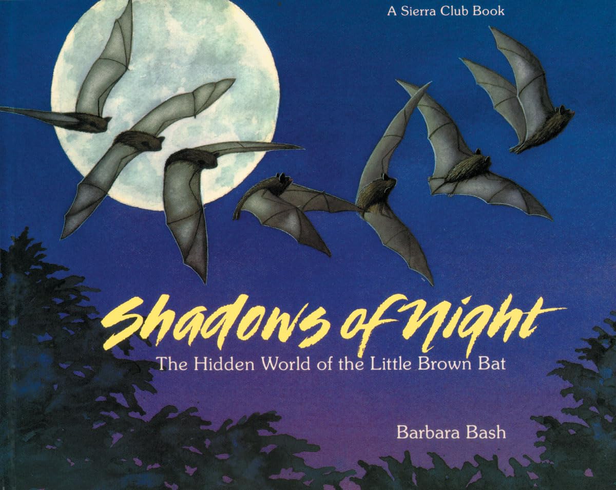 Shadows of the Night pb: The Hidden World of the Little Brown Bat (Sierra Club Books for Kids)