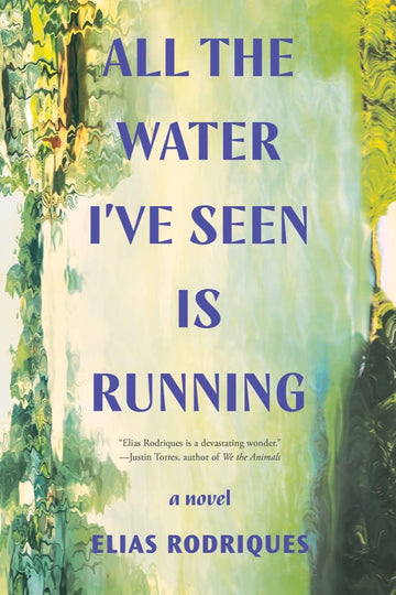 All the Water I've Seen Is Running: A Novel