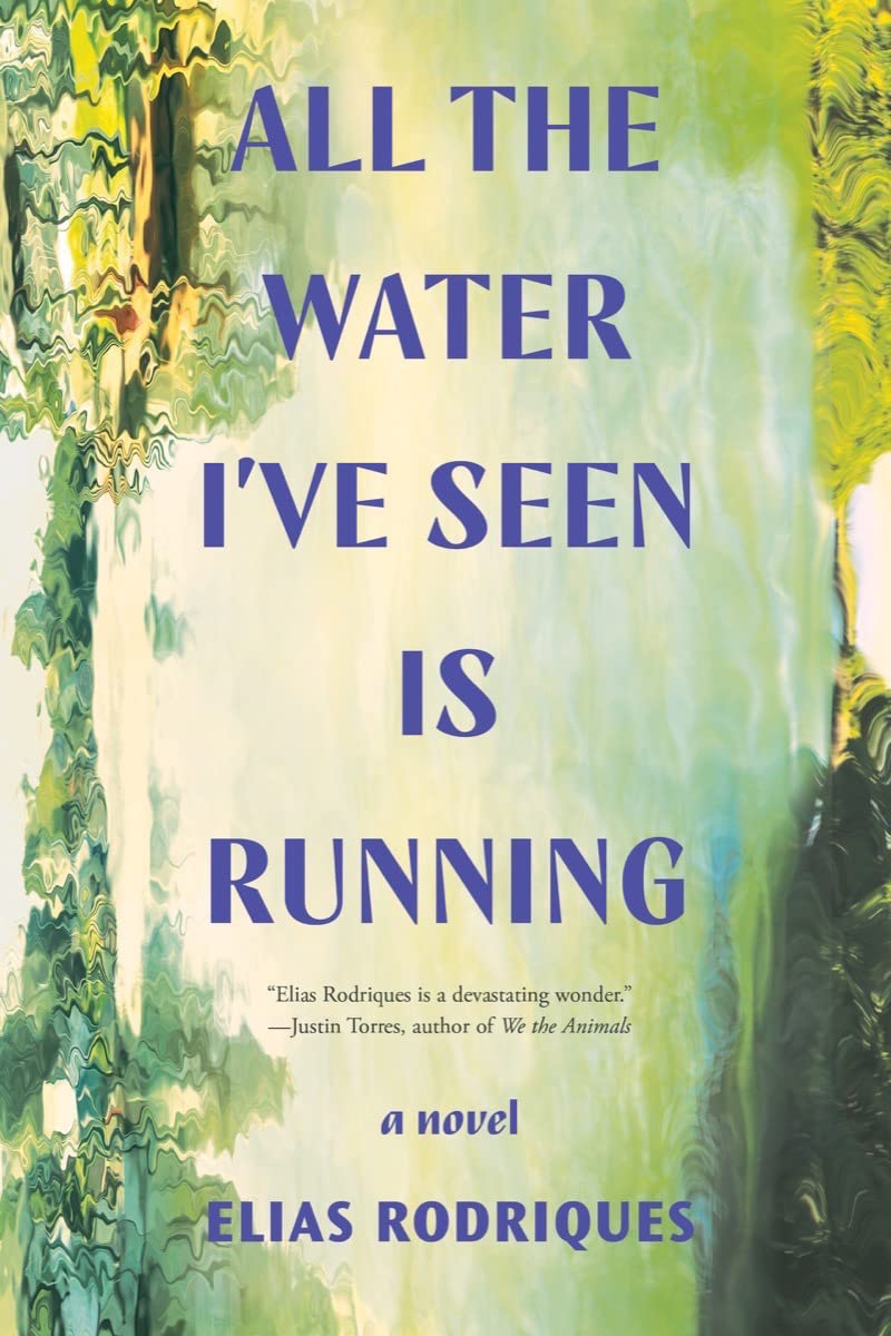 All the Water I've Seen Is Running: A Novel