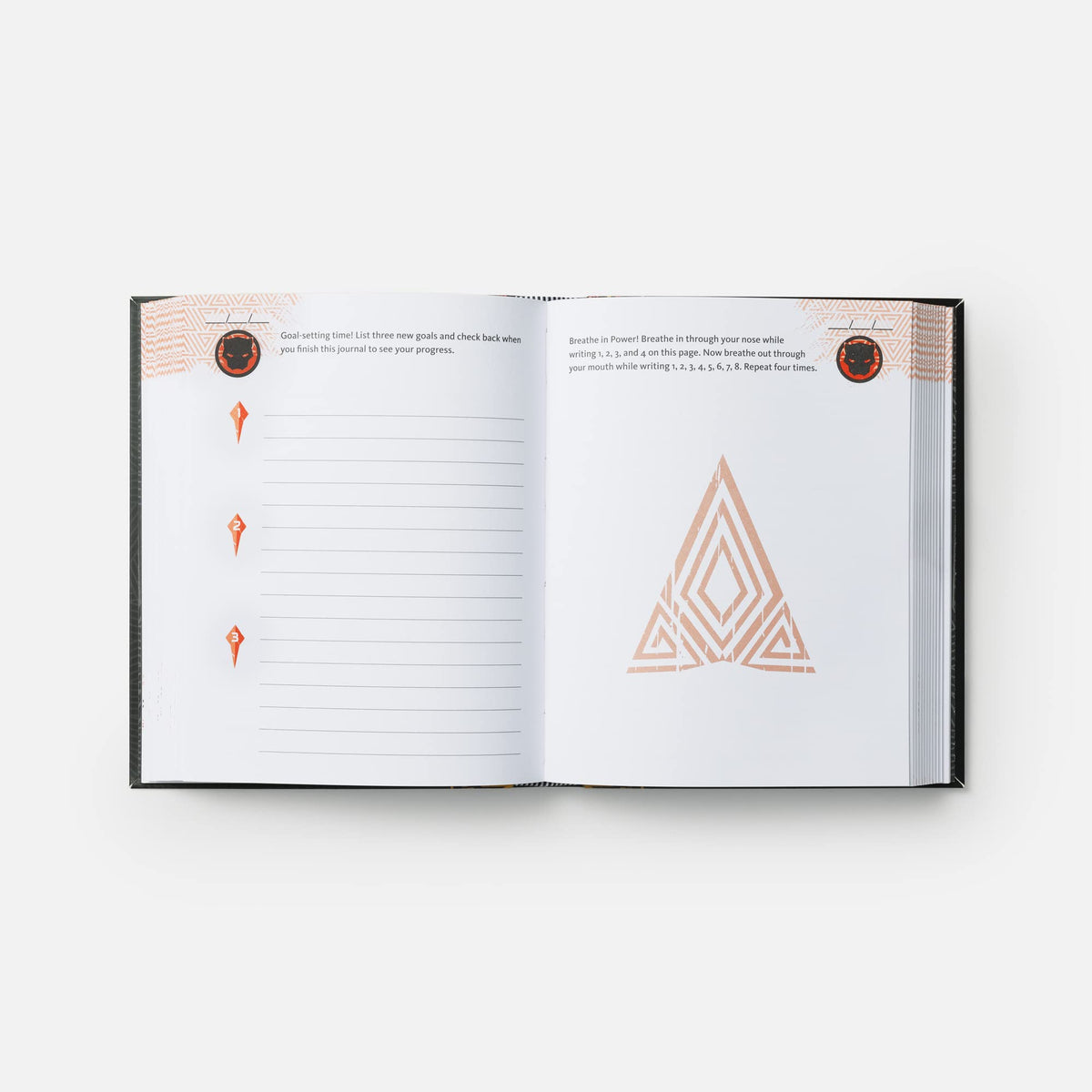 Black Panther Journal: Do One Empowering Thing Every Day