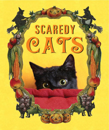 Scaredy Cats