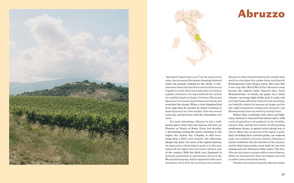 Italian Wine: The History, Regions, and Grapes of an Iconic Wine Country