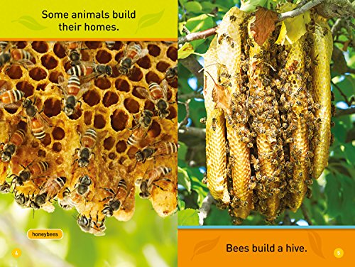 Animal Homes (National Geographic Kids Readers, Pre-Reader)