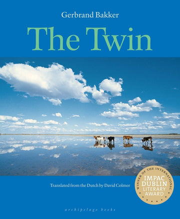 The Twin (Rainmaker Translations)