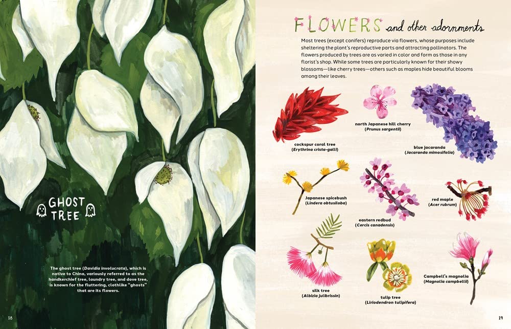 Trees: An Illustrated Celebration