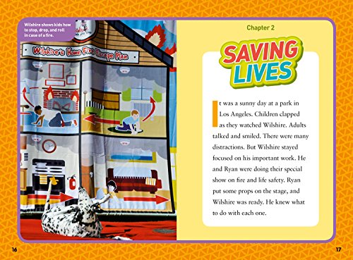 National Geographic Kids Chapters: Hero Dogs! (NGK Chapters)