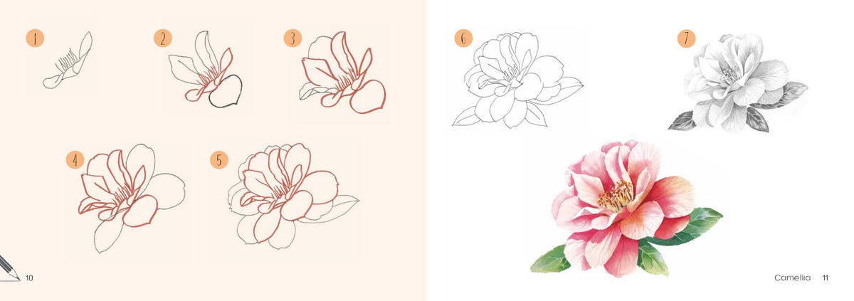 Draw 30: Flowers: in easy steps