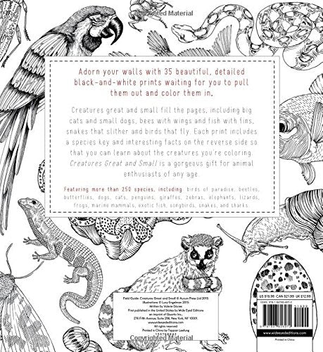 Field Guide: Creatures Great and Small: 35 prints to color