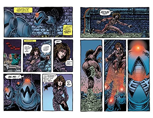 Best of Teenage Mutant Ninja Turtles Collection, Vol. 2
