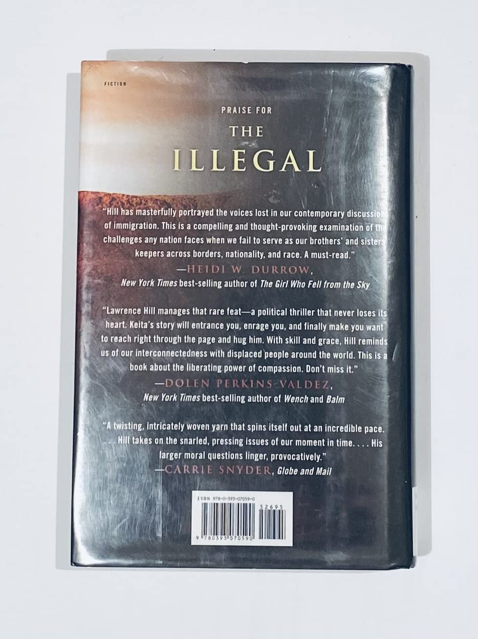 The Illegal: A Novel