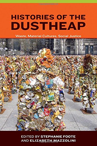 Histories of the Dustheap: Waste, Material Cultures, Social Justice (Urban and Industrial Environments)