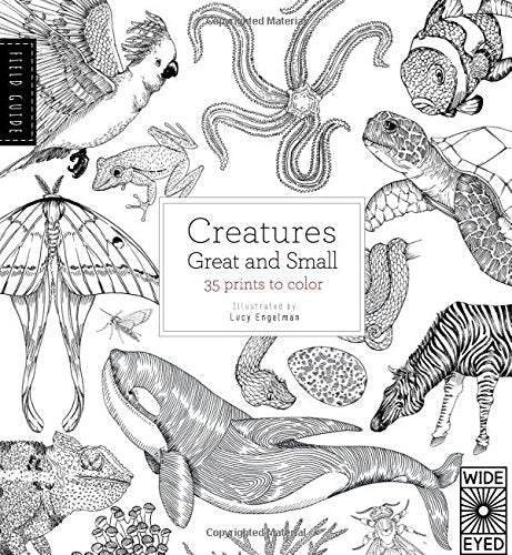 Field Guide: Creatures Great and Small: 35 prints to color