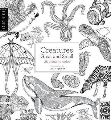 Field Guide: Creatures Great and Small: 35 prints to color