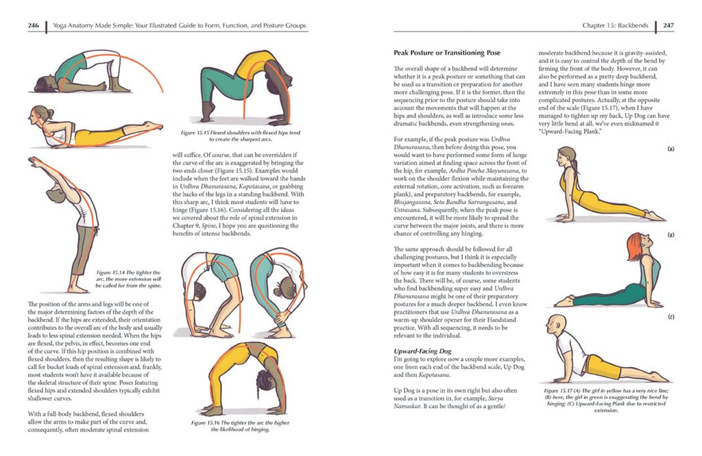 Yoga Anatomy Made Simple: Your Illustrated Guide to Form, Function, and Posture Groups