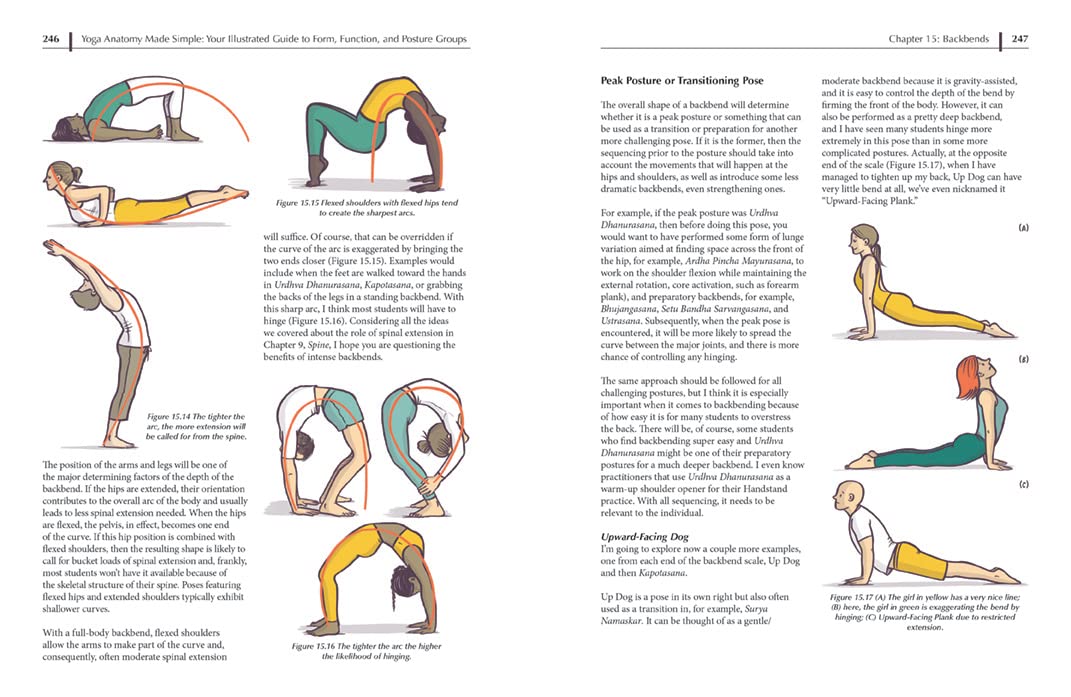 Yoga Anatomy Made Simple: Your Illustrated Guide to Form, Function, and Posture Groups