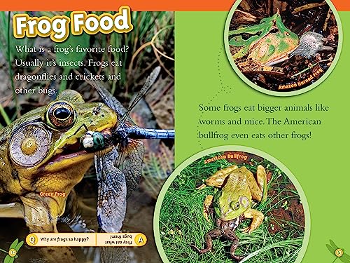 Animal All-Stars Collection (National Geographic Kids Readers, Level 1)