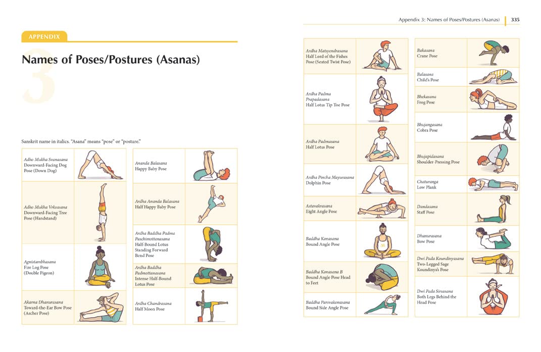 Yoga Anatomy Made Simple: Your Illustrated Guide to Form, Function, and Posture Groups