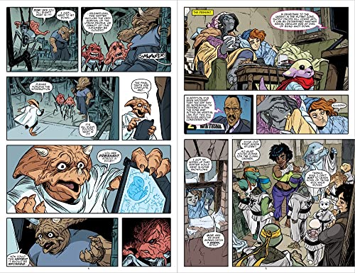 Teenage Mutant Ninja Turtles: Reborn, Vol. 5 - Mystic Sister (TMNT Reborn)