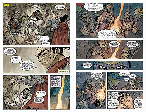 Teenage Mutant Ninja Turtles: Reborn, Vol. 6 - Game Changers (TMNT Reborn)